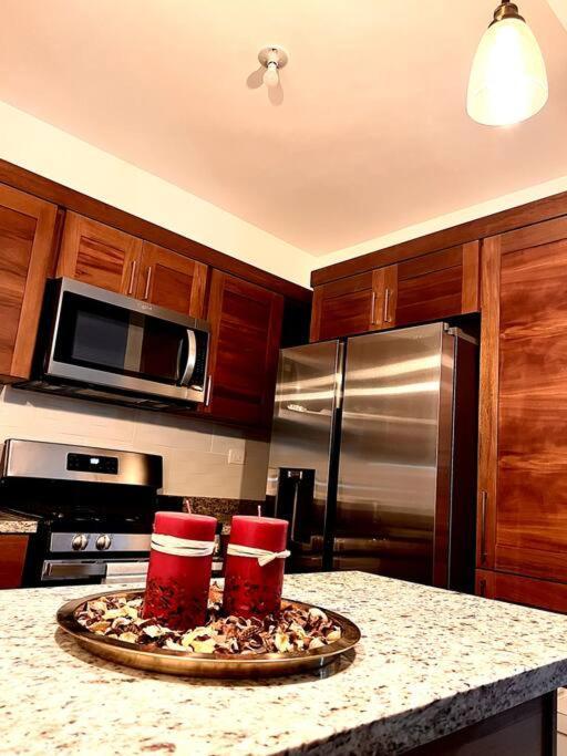 Ferienwohnung Magnificent Pent House W/Jacuzzi Santiago De Los Caballeros Exterior foto